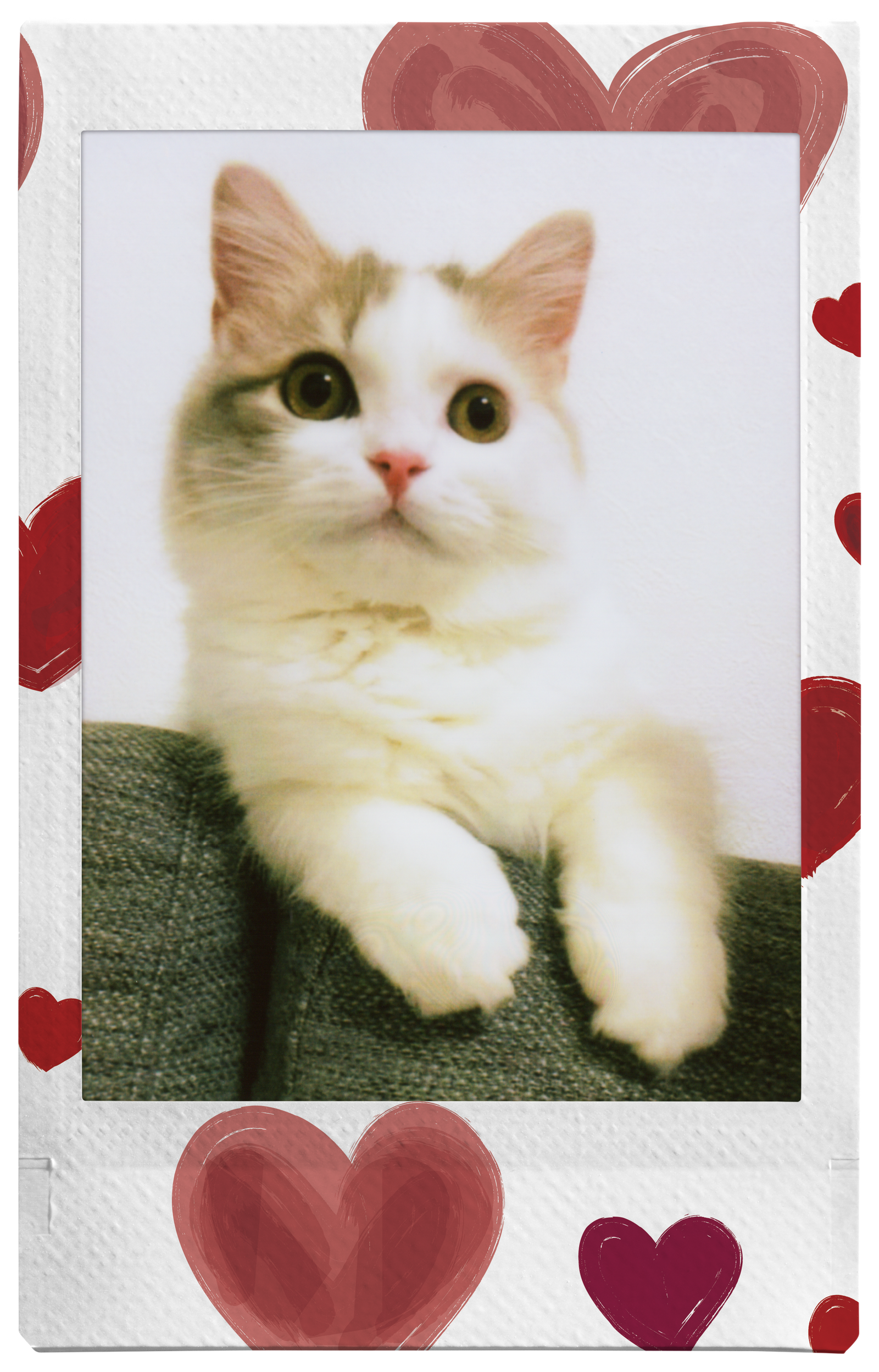 voorbeeld instax mini Heart sketch