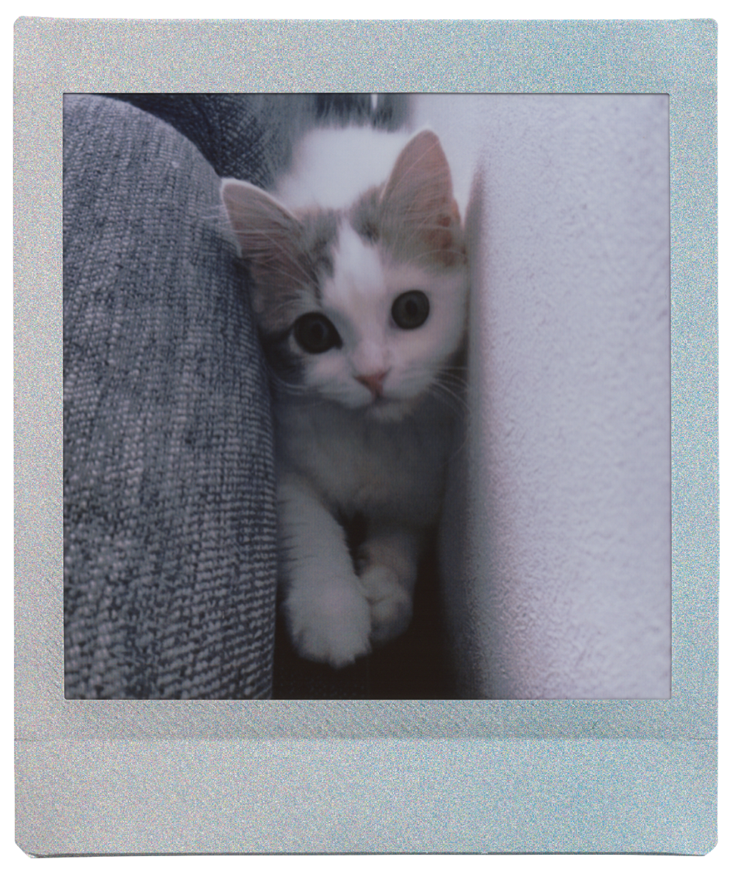 instax SQUARE Sunset voorbeeldfoto