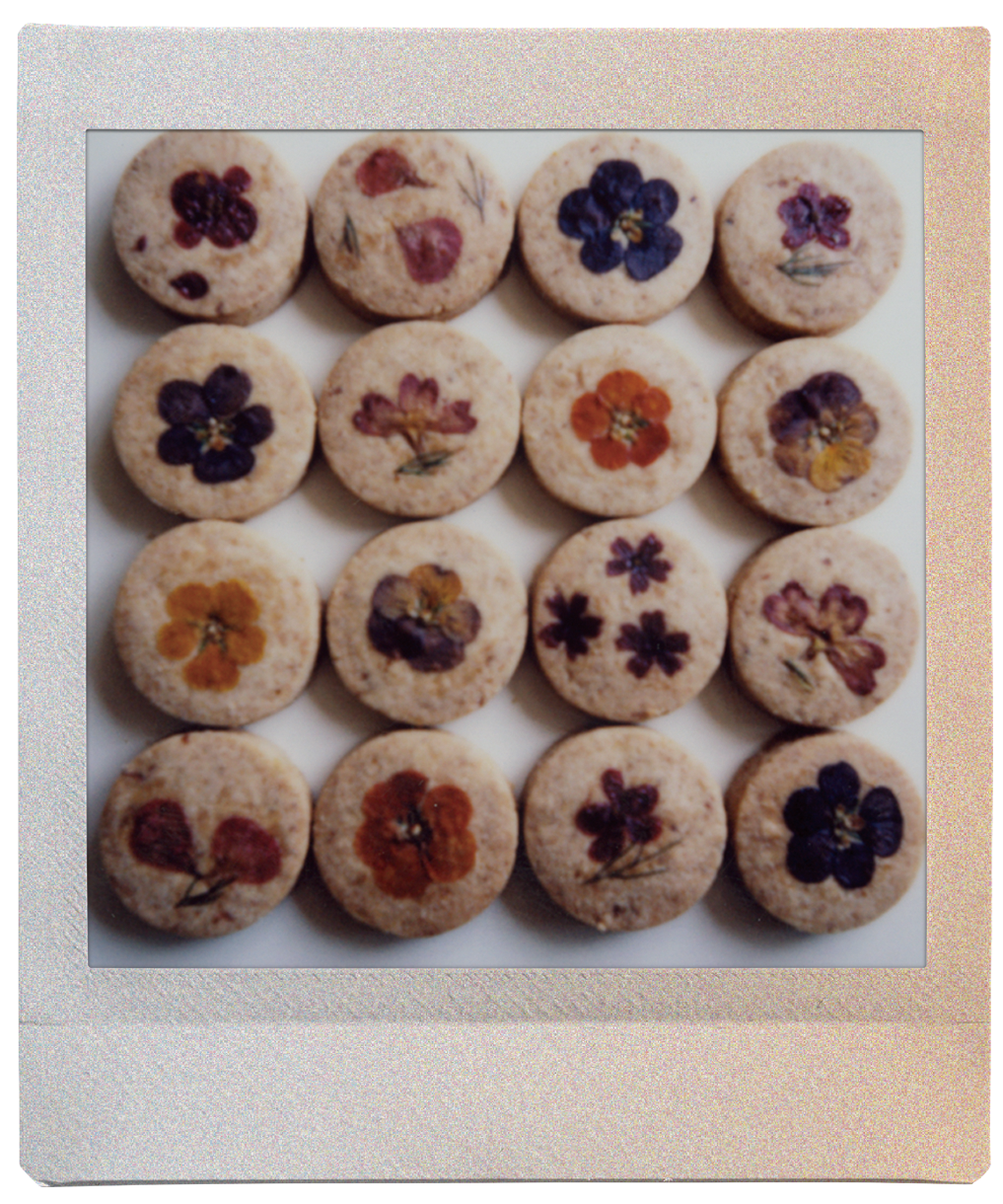 instax SQUARE Sunset voorbeeldfoto