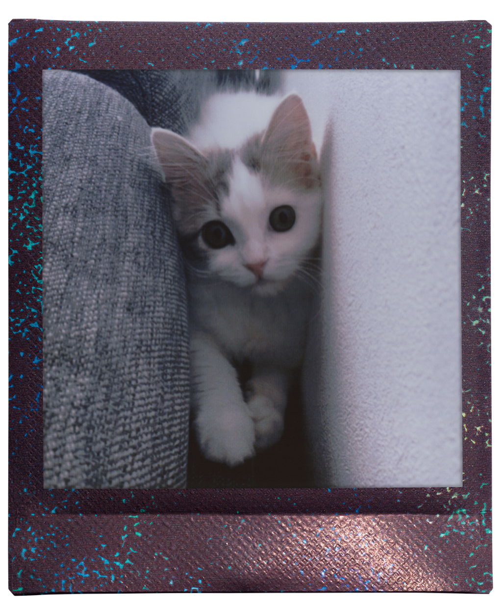 voorbeeld foto instax SQUARE Star illumination