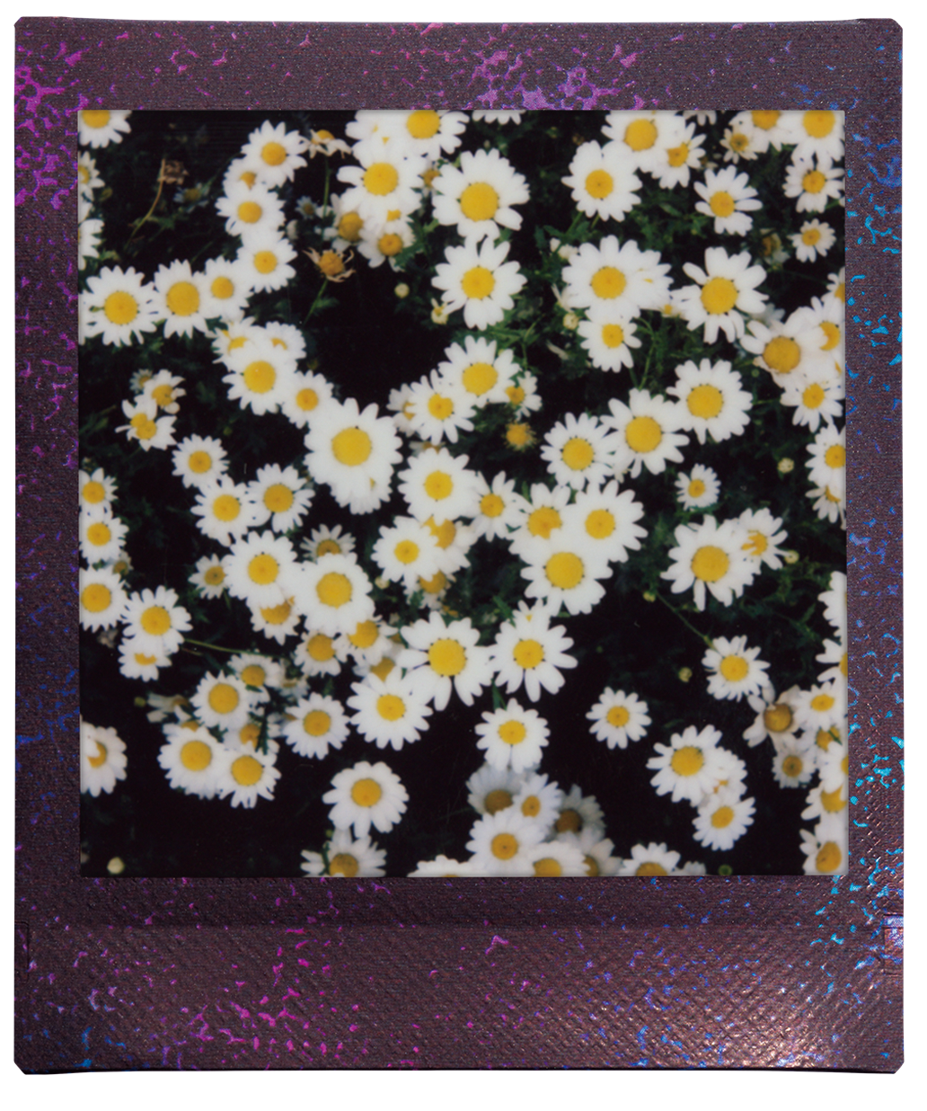 voorbeeld foto instax SQUARE Star illumination