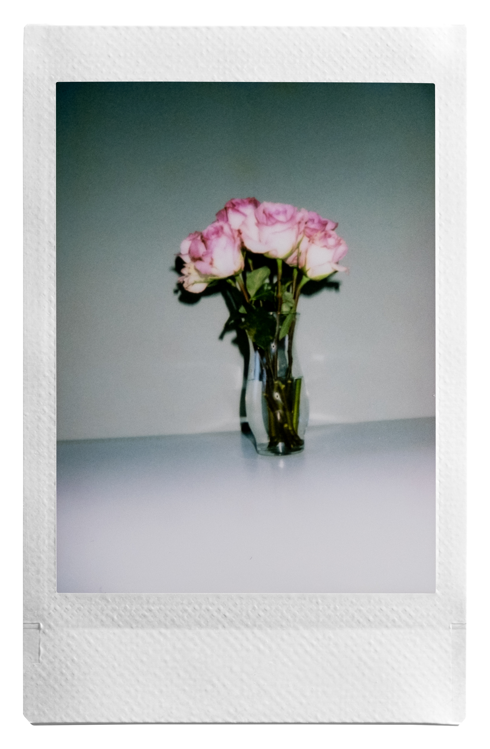 voorbeeld foto mini 12