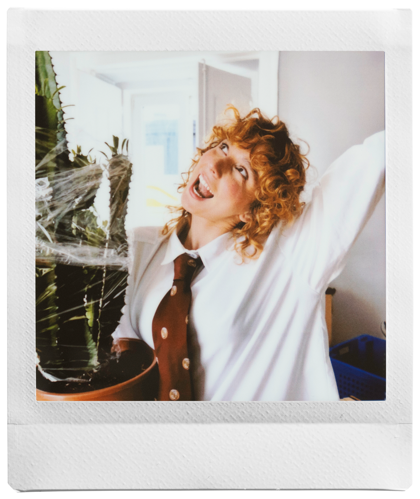 voorbeeld foto SQUARE link