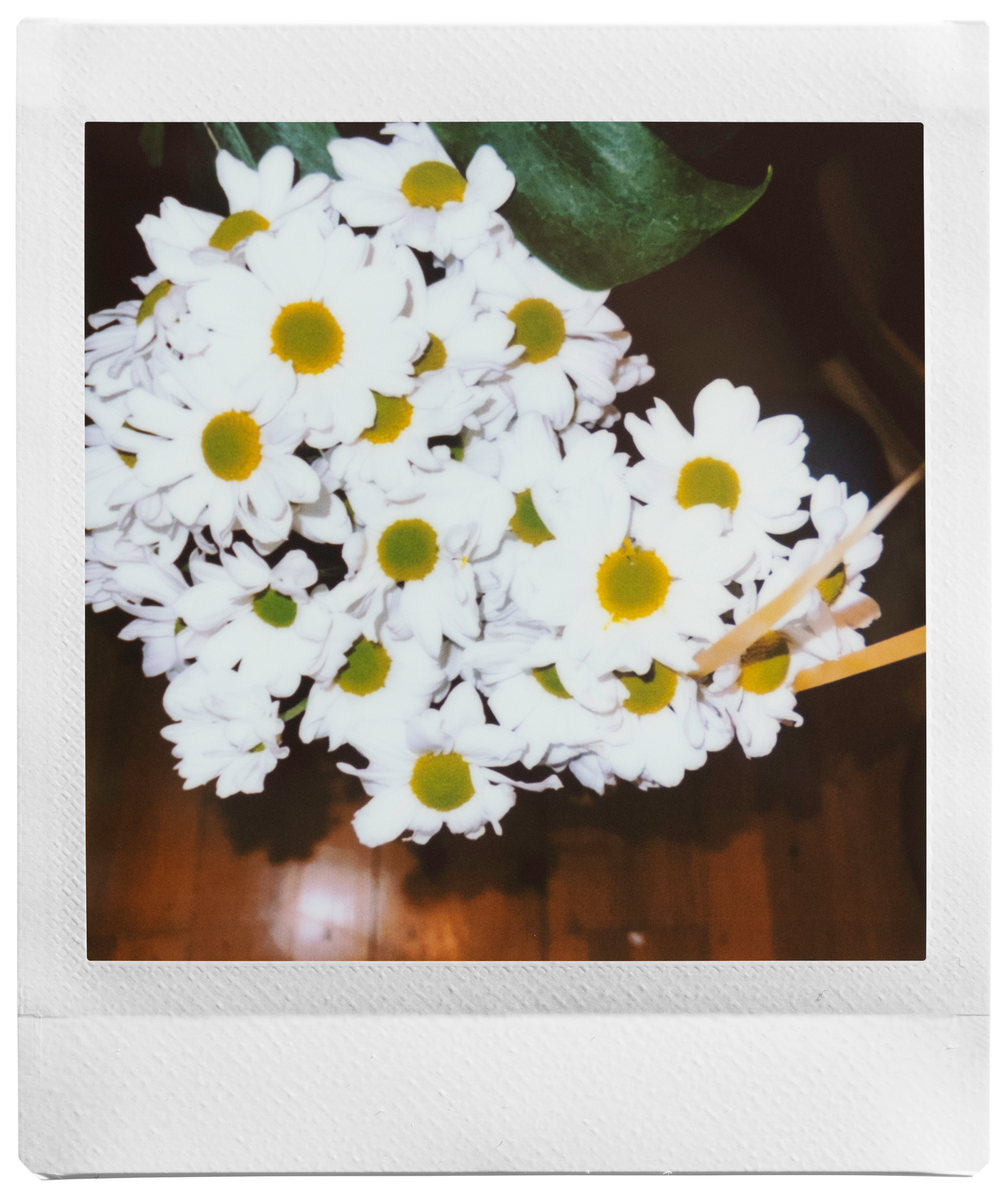 voorbeeld foto SQUARE link