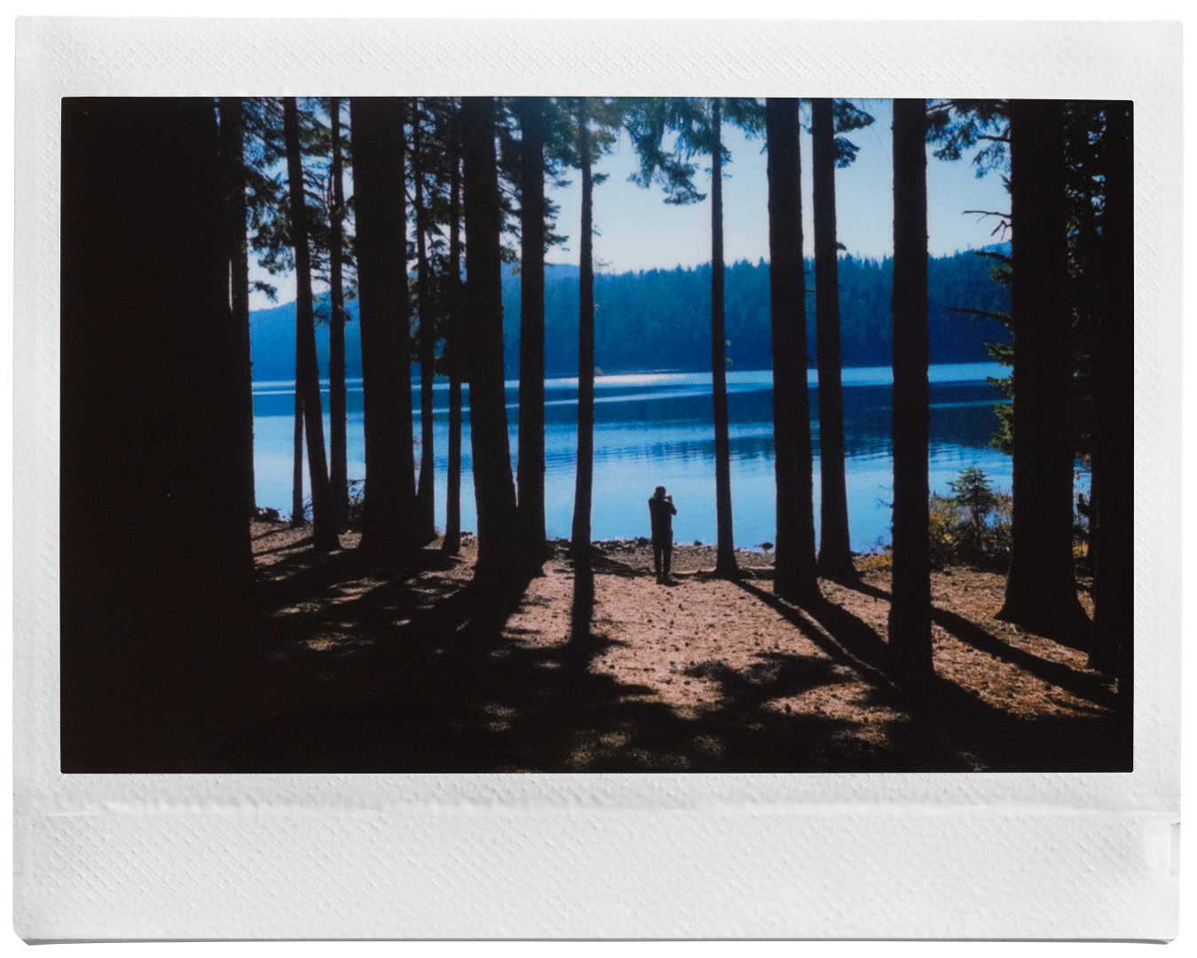 instax WIDE voorbeeld foto