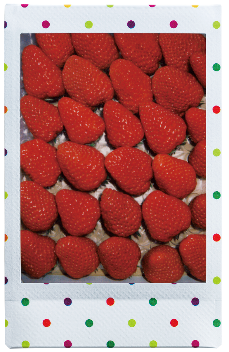 instax mini Candy Pop voorbeeldfoto