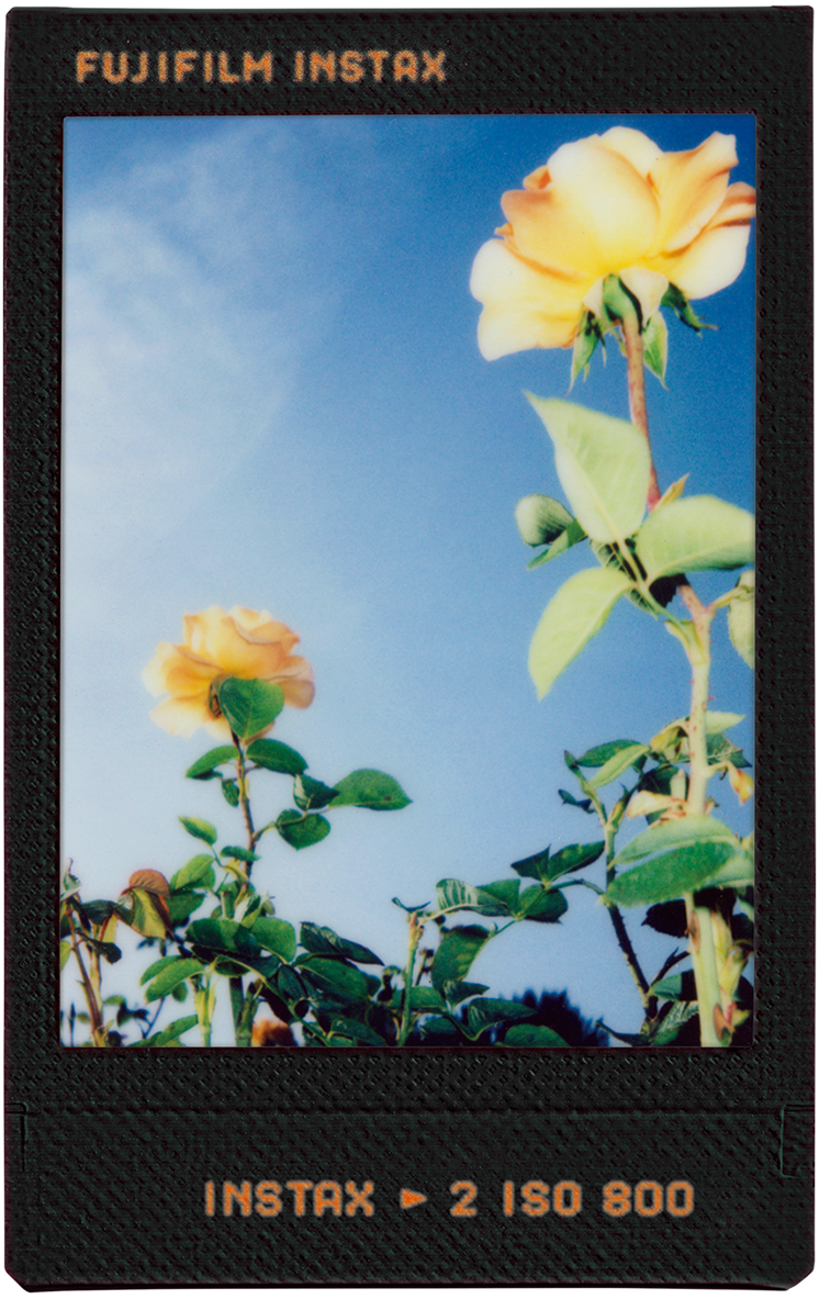 voorbeeld instax mini Contact sheet