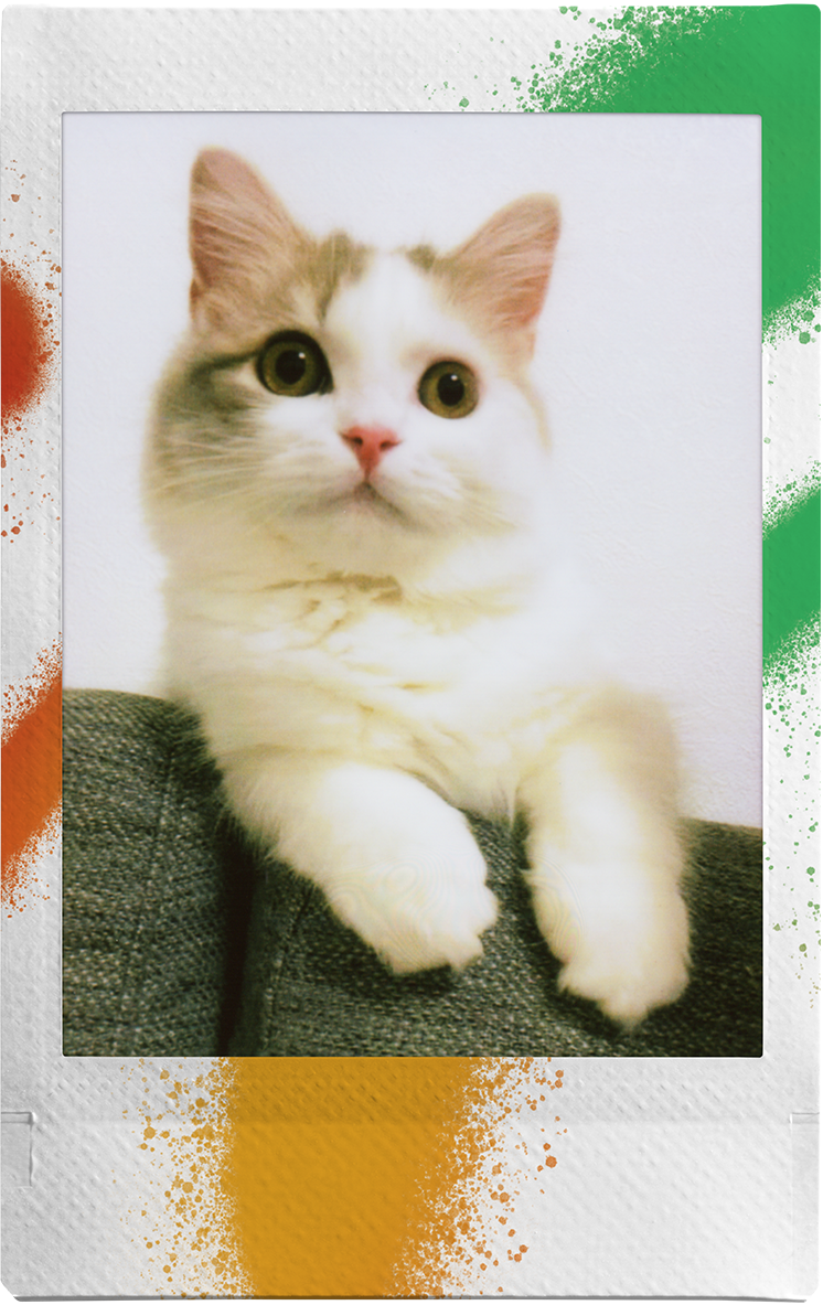 voorbeeldfoto instax Spray Art