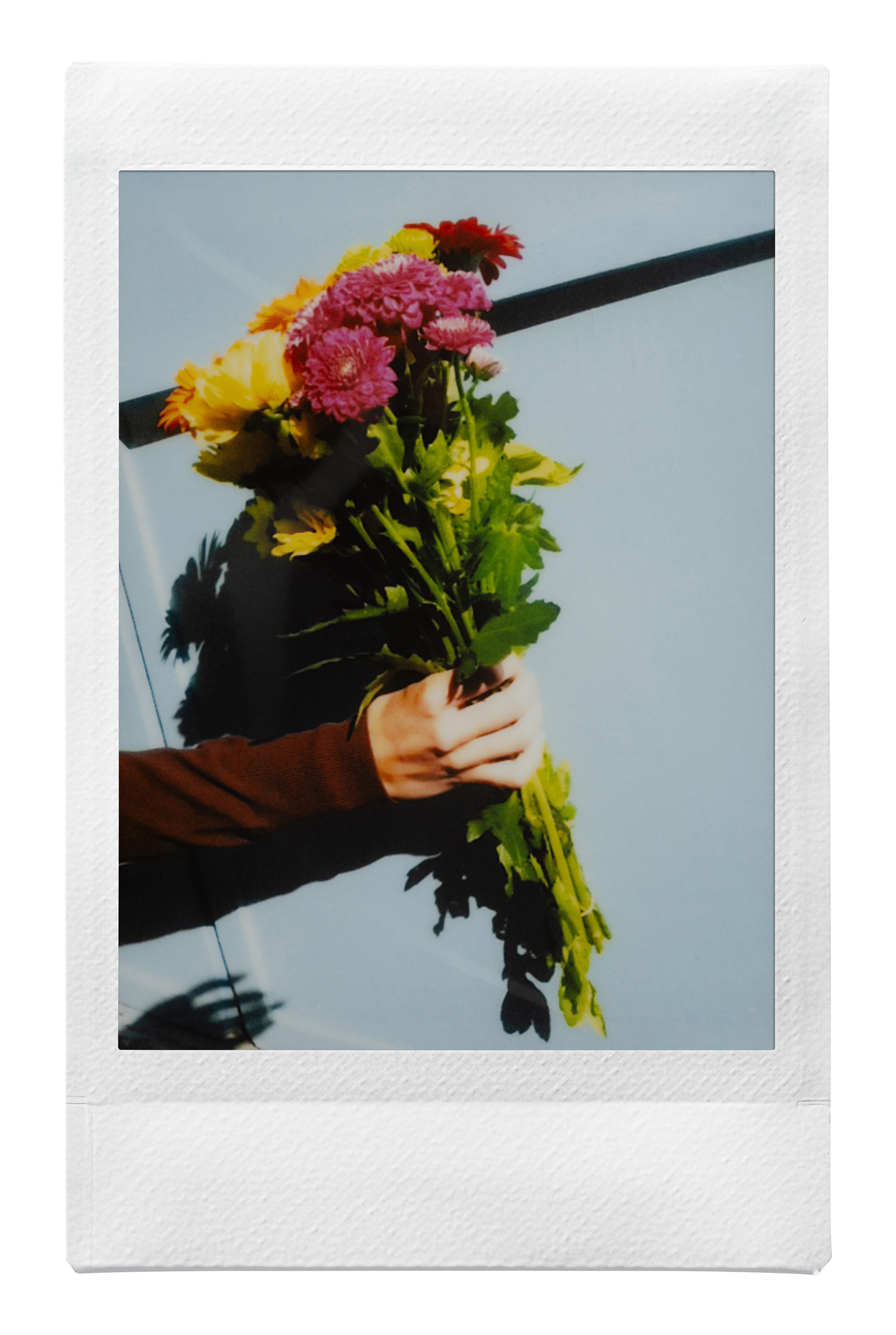 voorbeeld foto mini liplay 