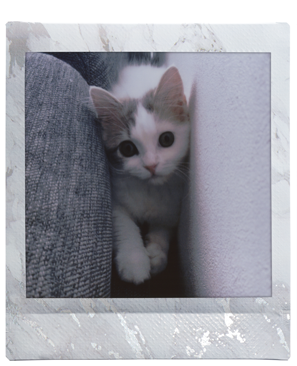 voorbeeld foto instax SQUARE White Marble
