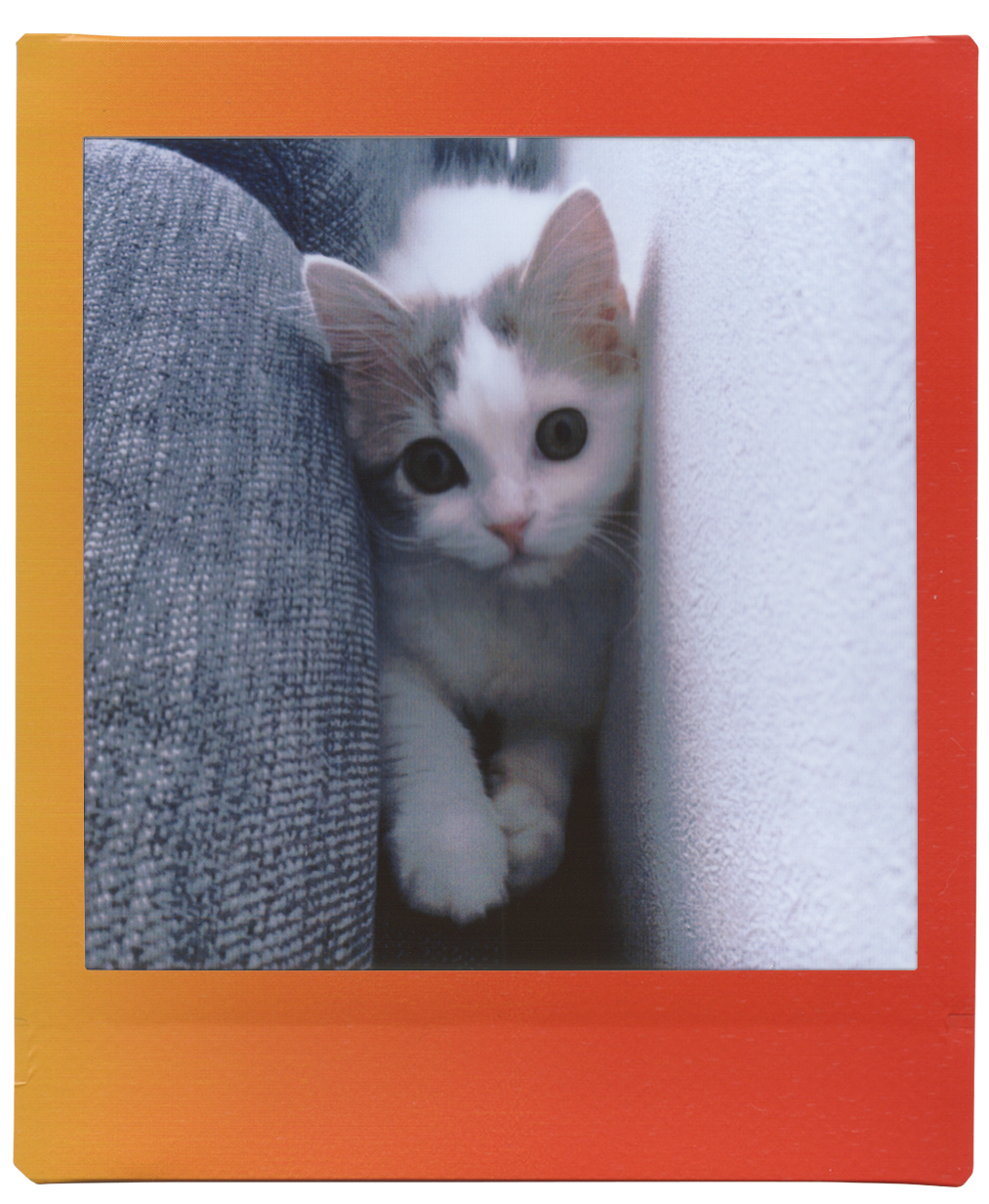 voorbeeld foto instax SQUARE Rainbow