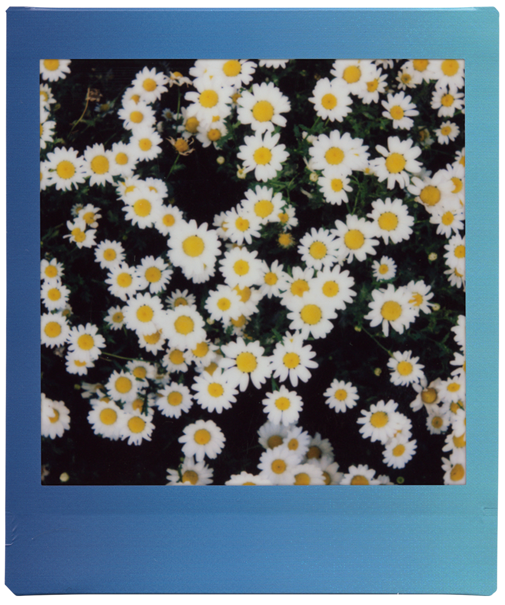 voorbeeld foto instax SQUARE Rainbow