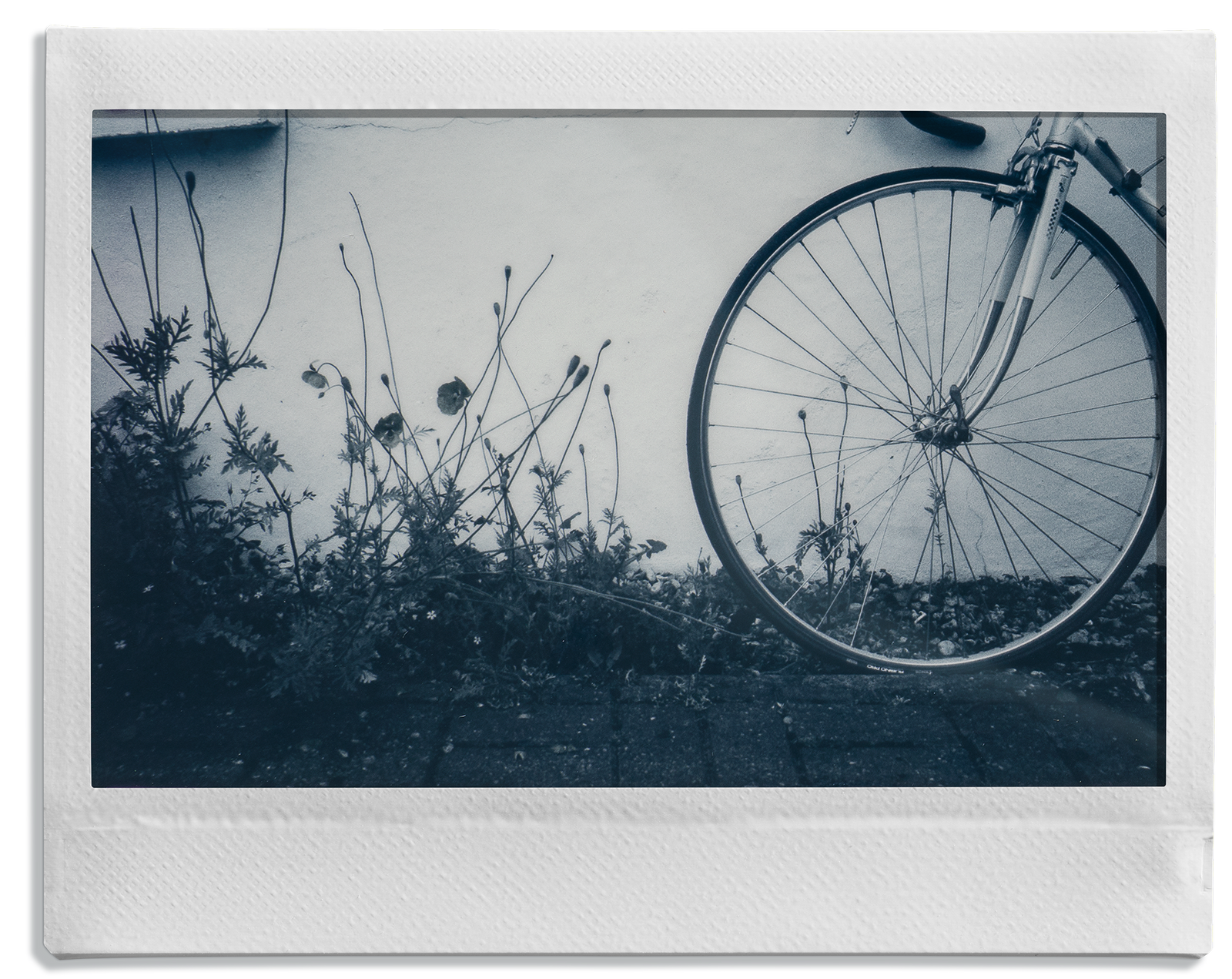 voorbeeldfoto instax WIDE Monochrome