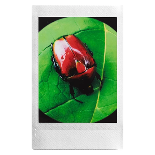 voorbeeld foto mini Evo