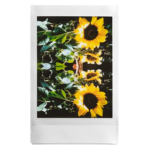 voorbeeld foto mini Evo